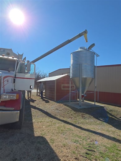 nothing exciting going on here, the grain delivery showed up. thank goodness, we were getting low on grain..