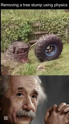 Sigma Physics: Turning stumps into lessons, Einstein approves." #viral #physics #aura #power #sigma