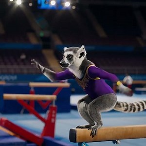 Animal Olympics