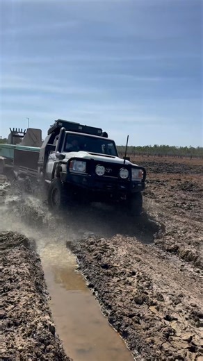 Reef Addicts on Instagram: "Back to the adventure this week on youtube !"