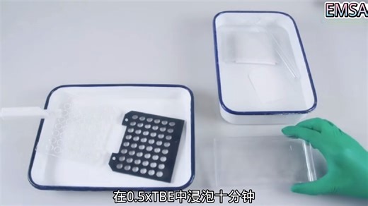 EMSA实验操作步骤，电泳转膜操作，化学发光检测详细步骤以及电泳条带结果分析