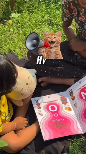 𝐄𝐋𝐙𝐈𝐍 𝐙𝐎𝐇𝐀𝐍 𝐚𝐦𝐫🧸 on Instagram: "TekBook Beginner by @logic_leafapp turns reading into an immersive experience for Preschool & KG learners 📖 How it works: • Read the book • Enter the code in the app • Scan the page • Watch characters come alive in AR!📕📱 Why parents love it: • Makes early learning exciting • Boosts attention & curiosity • Blends reading + interaction for better engagement . . . . #incollabration #ownvoice #fypシ viral trend"