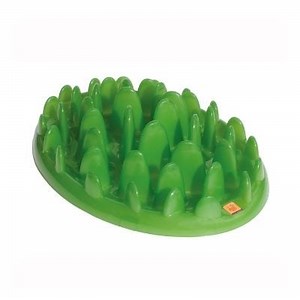 Green Slow Feeder Dog Bowl | Company Of Animals US