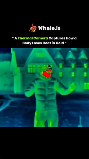 Knowledge Matrix | A thermal camera captures how the human body loses heat in cold environments by showing temperature variations on the skin’s surface. When... | Instagram