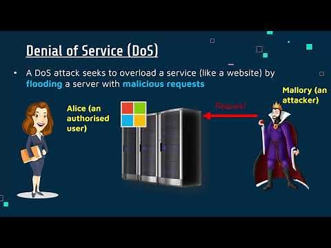 Denial of Service (DoS and DDoS) Attacks