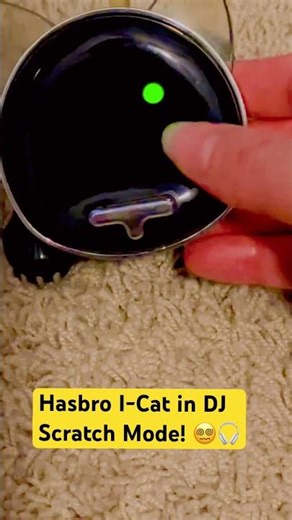 Hasbro I-Cat: DJ Scratch Mode + Making It Dizzy! 😵‍💫🎧 #idog #20yearsofidog #hasbro #shorts