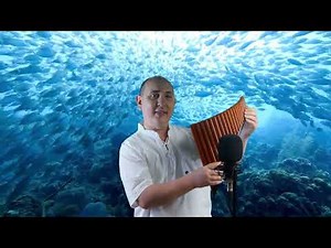 Teach yourself Pan Flute. Answering the question HOW TO?
