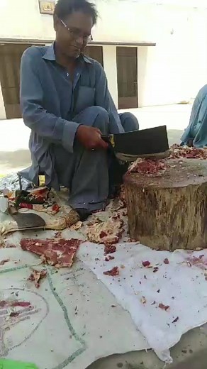 Meat Butchering Techniques Demonstrated in Rural Setting