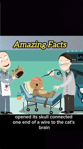 The Curious Story of the Cat Telephone! #shorts #amazingfacts