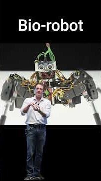 An Organoid Powered Robot