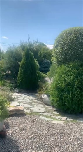 Blooming Altai 🌼 Nature and Walk