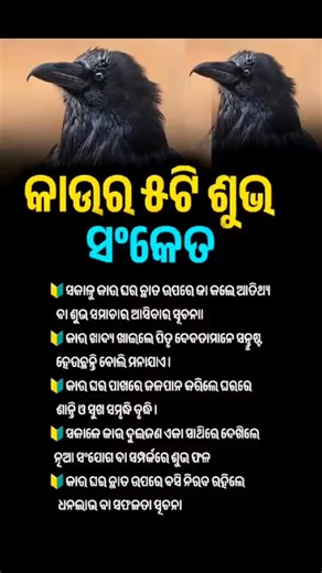 ଓଡ଼ିଆ ସାଧାରଣ ଜ୍ଞାନ ||Question Answer || #generalknowledge #shorts #odisha