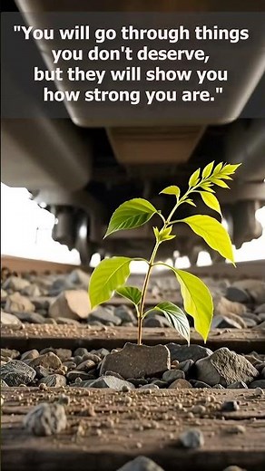 The Resilience Theory 🌿 #motivation #philosophy #mindset #theory #stoicism
