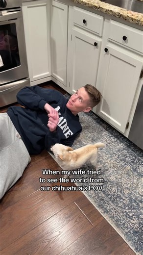 Understanding Small Dog Behavior in a Big World