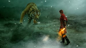 Fantasy, Tiger, Man, Sword