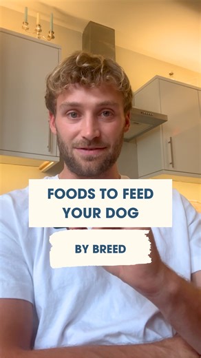 PART 10: Here are the foods you need to be feeding these breeds. Comment below with your dog's breed and I'll aim to include them in the next vid. Cam | The Dog Nutritionist