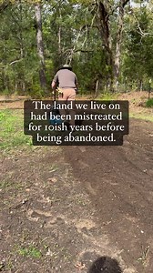 1.1M views · 5.4K reactions | Gardening is not a race. #gardening #garden #homestead #homesteading #homesteadlife #selfreliance #selfsufficientbackyard #growyourownfood #farm #fresh #food #canning | Prepsteader | Facebook