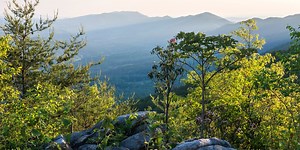 Blackberry Farm Just Announced a New Sister Property, Blackberry Mountain