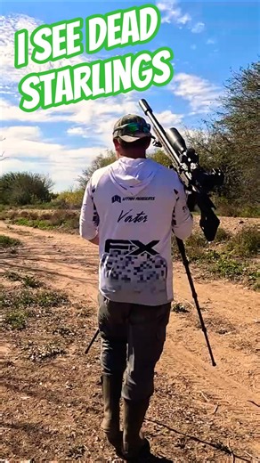 I see dead starlings #fxairguns #elementoptics #zanprojectiles