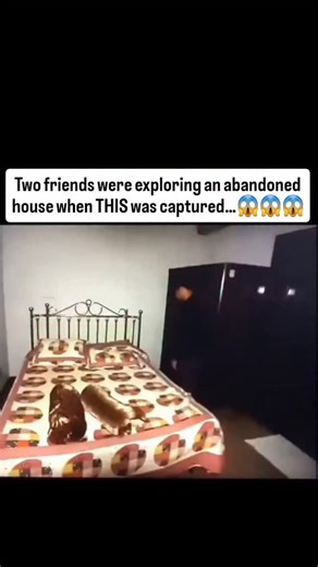 Scary_Encounter5 on Instagram: "A group of two friends decided to explore an abandoned house around 3 a.m. to see if they could capture anything strange on camera. At first, everything seemed normal. But when they walked into one of the rooms and got close to the closet, something suddenly looked like it was trying to pull one of the guys inside. He got really scared and quickly moved away from the closet. The cameraman went closer to check — but there was nothing inside. A few moments later, lo