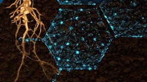 Rizobacter anuncia lançamento de inoculante bio-indutor premium para safra 2021/22