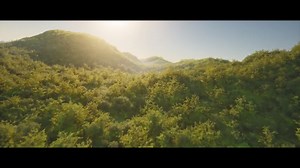 Yixin Hu has told us about BroadLeaf, a real-time solution for rendering large-scale forests, explaining how it handles data compressions and texture baking and comparing the tech to UE5's Nanite. Learn more: https://80.lv/articles/broadleaf-developing-a-real-time-solution-for-rendering-trees/ | 80 Level