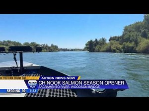 Chinook salmon fishing opens on the Sacramento River
