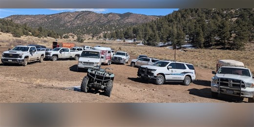 86 animals seized from local kennel in ‘large law enforcement rescue operation’