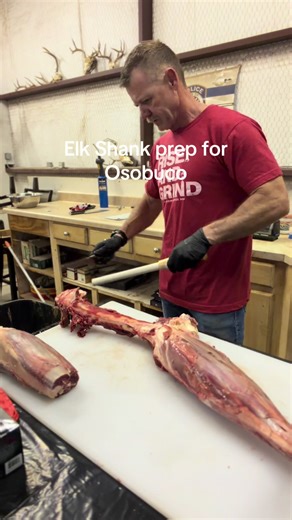 #elk #wildgame#hunting #cooking #healthylifestyle | Elk