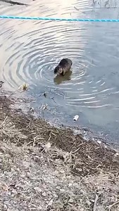 “Dabar u Savi” | Serbia Live - Beograd