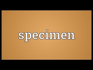 Specimen Meaning