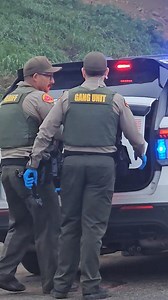 Subject walking over Mount Vernon bridge. With the firearm in custody | RD on the Scene
