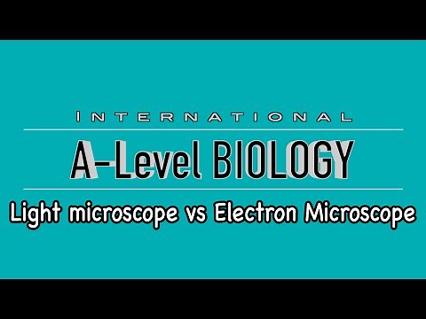 A Level Biology: Microscopy part 2: Light microscope vs electron microscope