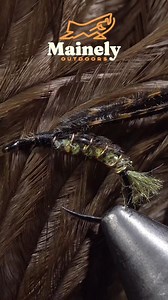 I can’t recall the name of this one. If you know, please remind me. It’s a caddis imitation that can also be taken occasionally as a mayfly. It’s a fun, but complicated tie that looks excellent in the fly box! It just so happens that fish love it too! Well worth a shot for those who don’t mind adding in the extra detail. Mix the colors and sizes as needed to match your area's hatch. #flytying #flyfishing #trout #troutfishing #caddis #caddisflylarvea #water #stream #river #fishing #flyfishing #ar