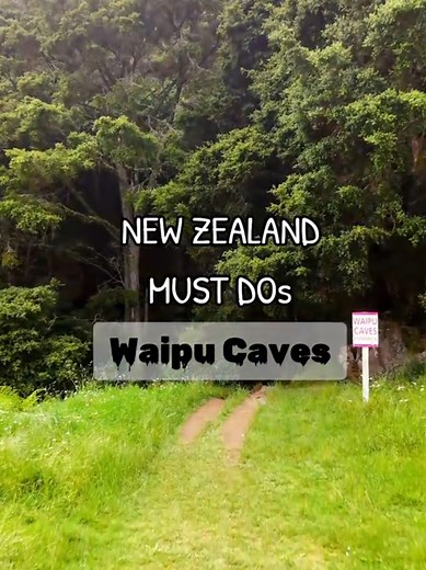 Explore Waipu Caves: A New Zealand Natural Wonder