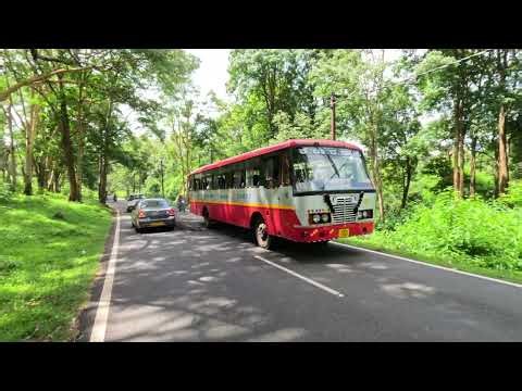 Beautiful Forest Road in India | Masinagudi to Ooty Road Trip | Mudumalai Tiger Reserve | 4K 60FPS