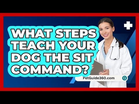 What Steps Teach Your Dog The Sit Command?
