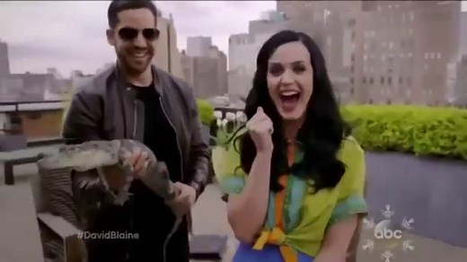 David Blaine Katy Perry
