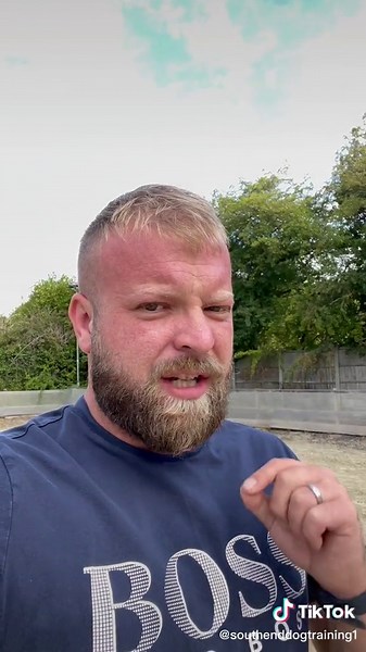 Understanding the Jack Russell Terrier: Training Tips and Best Practices