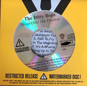 The Ditty Bops - Moon Over The Freeway