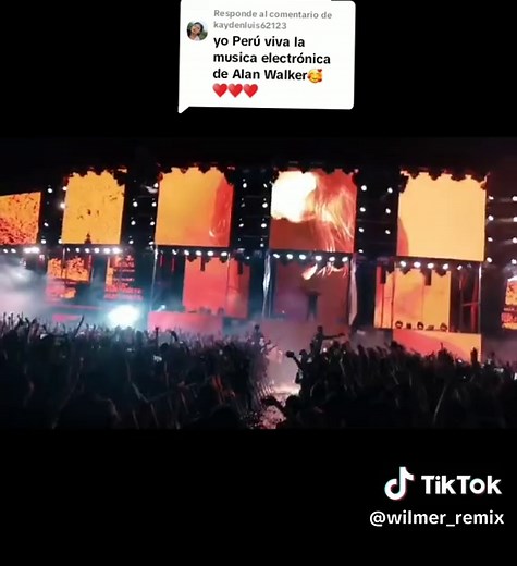 Música Electrónica de Alan Walker: Remixes y Edits