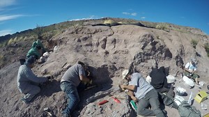 Fossils of Oldest Member of Huge Dinosaur Group Found in Argentina