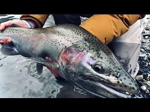 How To Catch Steelhead | A Beginners Guide to Steelhead/Trout Fishing