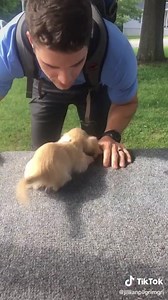 13M views · 389K reactions |  | Cuyahoga County Animal Shelter | Facebook