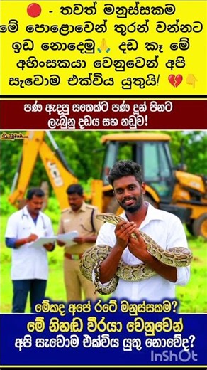 තවත් මනුස්සකම මේ පොළොවෙන් තුරන් වන්නට ඉඩ නොදෙමු🙏 දඩ කෑ මේ අහිංසකයා වෙනුවෙන් අපි සැවොම එක්විය යුතුයි