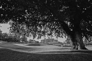 The 25 best trees in golf