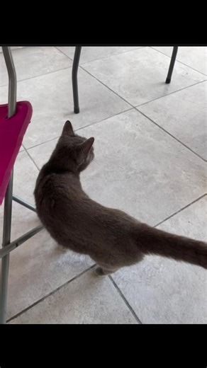 Videos de Alan Velazquez (@alan.velazquezel12) con “sonido original - Alan Velazquez”