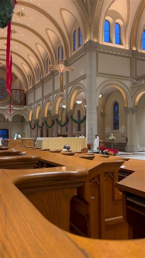 Today the Church’s Christmas season ends with the Feast of the Baptism of our Lord. Tomorrow, we begin Ordinary Time, which will last just a little over a month, then our Lenten journey begins! 🌿 As we conclude with the Baptism of Jesus, this feast invites us to reflect on how Jesus went to be baptized not because of sin but to allow us to have a relationship with God. Jesus stands with us, who do sin, as beloved children of God. After His baptism, Jesus begins His public ministry; His baptism 