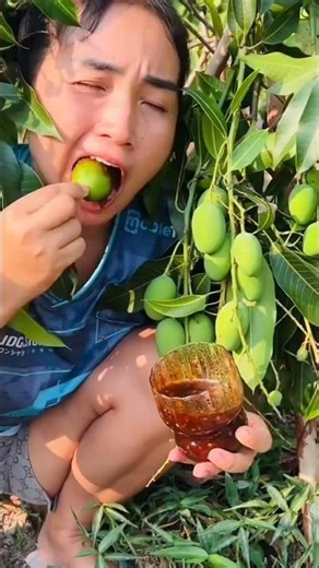 🍅🍎🥭🍊🍍#shorts #nature #fruit #garden #vegetables #foryou #shortvideo #vlog