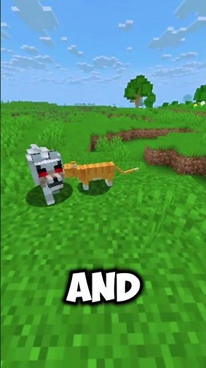 Which is the fastest mob in Minecraft⛏💎